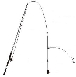 ○○○海浜公園写真