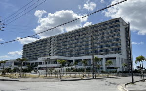 �������C�l�����ʐ^