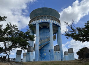 �������C�l�����ʐ^